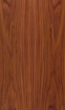 A typical specimen for Walnut, American (Juglans, nigra)